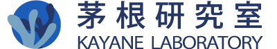Kayanne lab